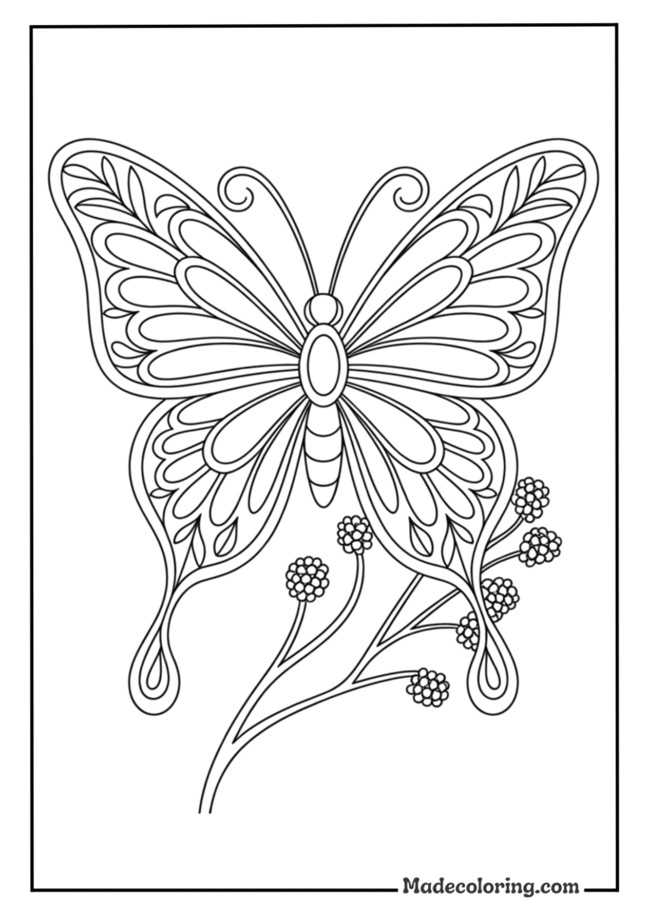 Art Butterfly