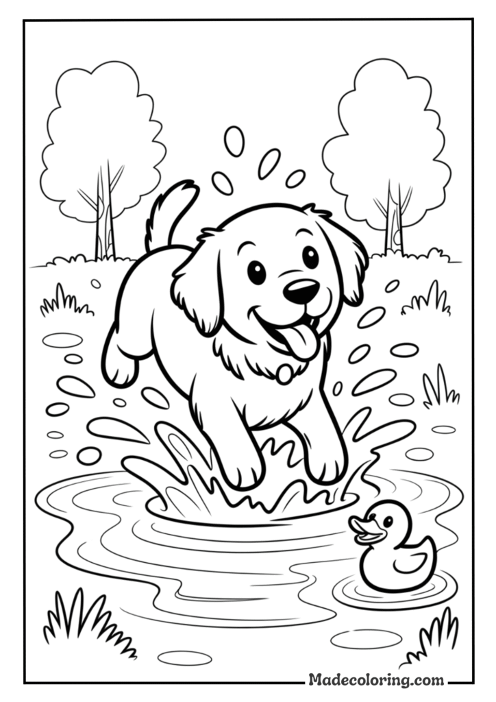 Dog Playing in a Puddle
