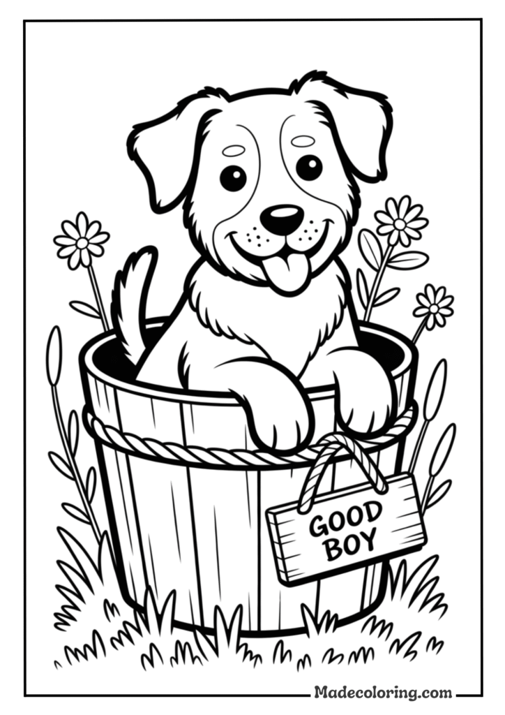 Dog in a Bucket