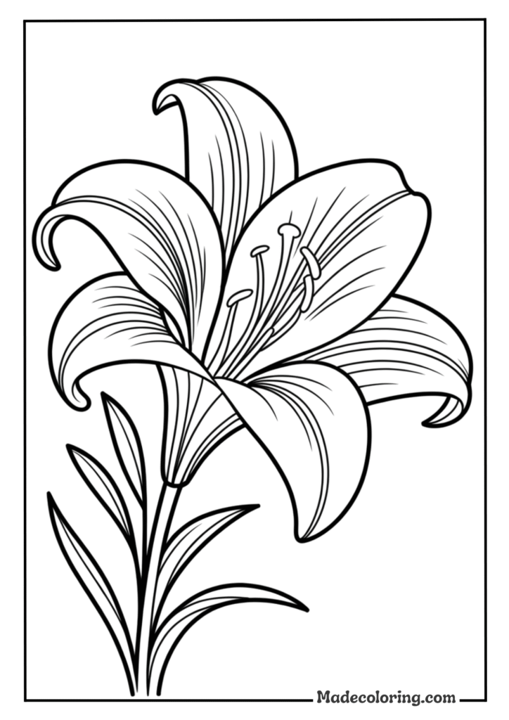 Easter Lily Petals