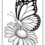 Simple Smiling Butterfly