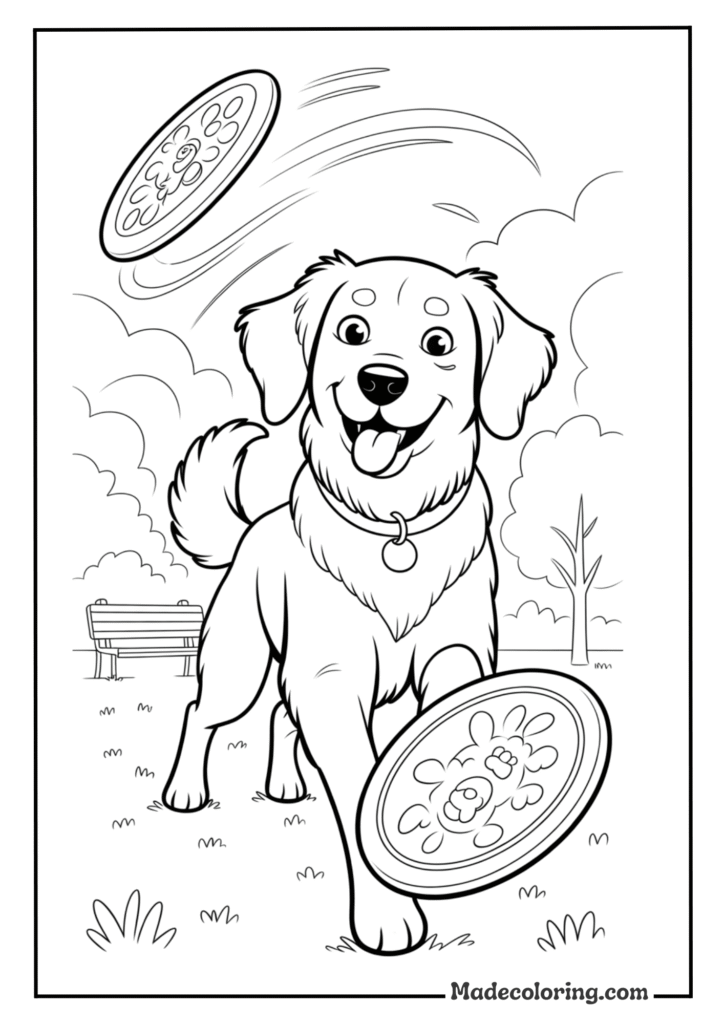 class dog
