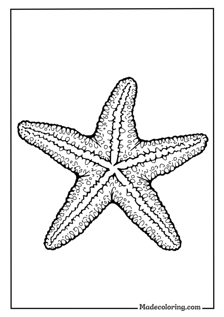 Beach Star Explorer coloring pages