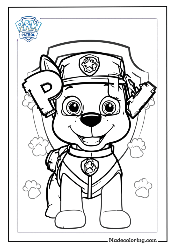 Paw Patrol Badge Collection