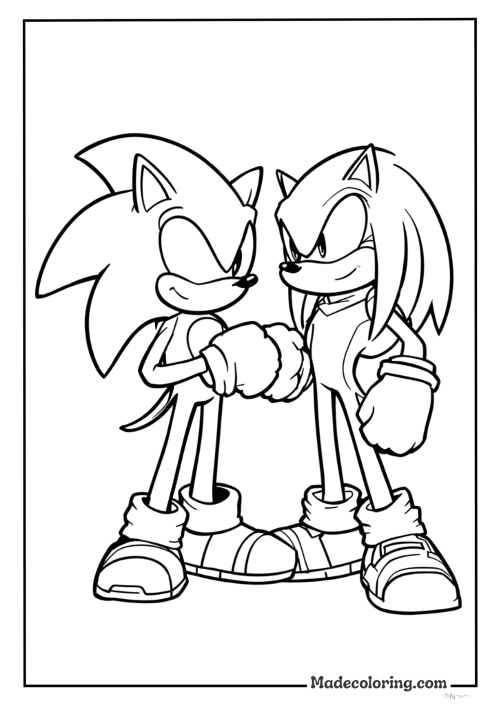 Sonic Meets Knuckles