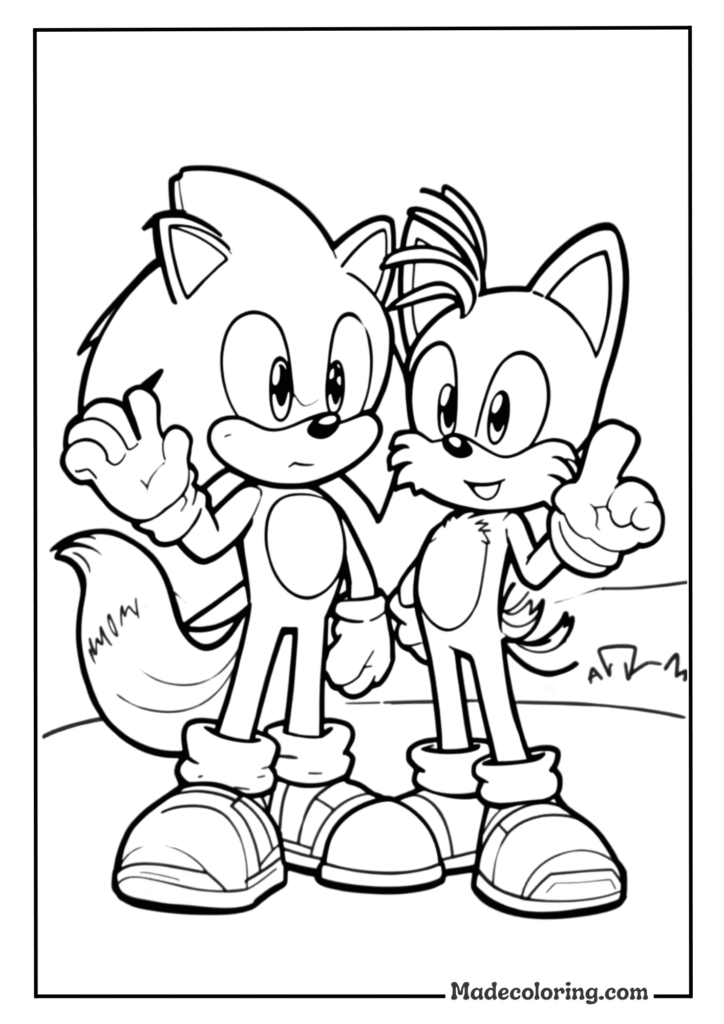 Sonic and Tails Team
