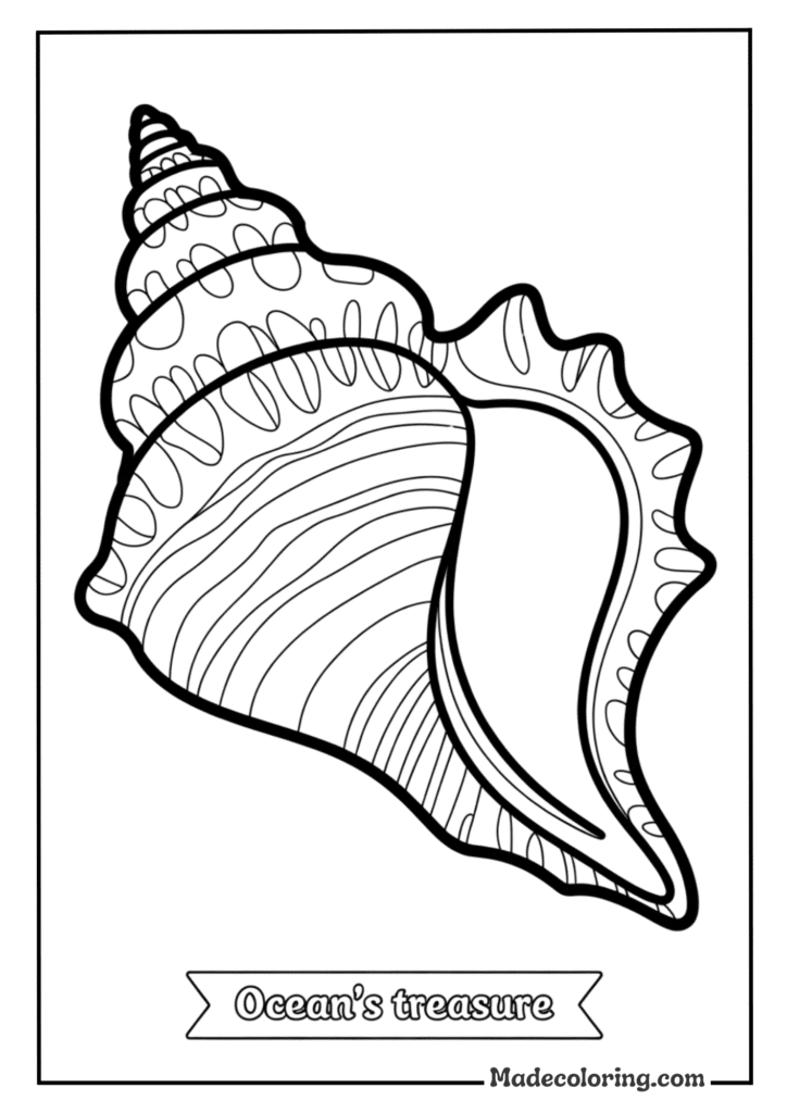 Summer Seashell Treasure
